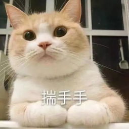 小鹿表情包复工