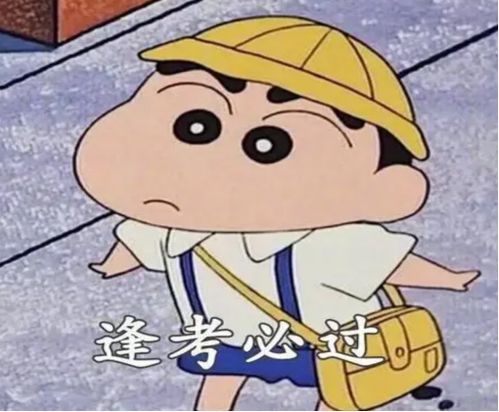 蚊子的图片表情包正南