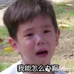 2017的八大表情包萌娃,你最喜欢哪一个
