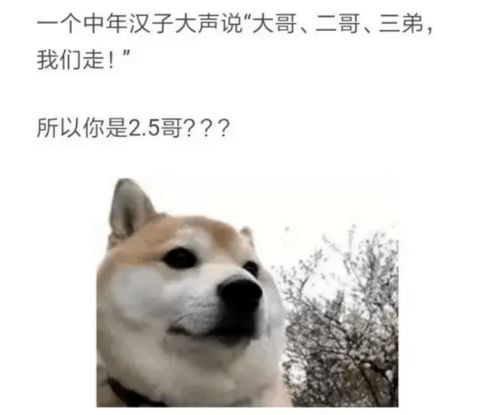 不许出现的声音充斥着房间哈哈哈哈,给沙雕小说中的虎狼之词跪了...