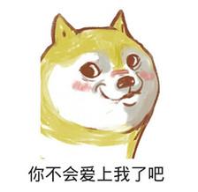 史上最全的doge表情包,伸手党不要错过