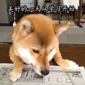 报考高级经济师,这些事你要搞清楚