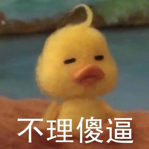 有这种小黄鸭的表情包么,谢谢