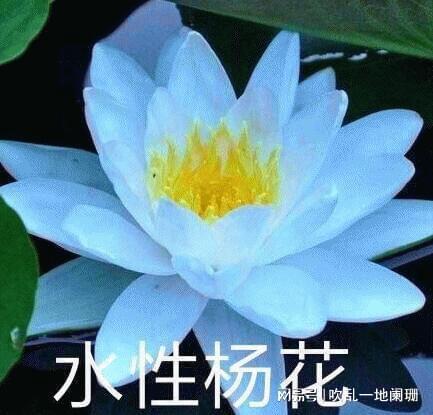 为了孩子,她隐忍伤子之痛,力保儿媳活路