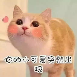科普每天敷面膜真的有用吗