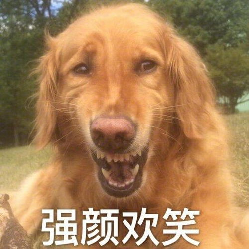 最搞笑医院哪个科室最赚钱