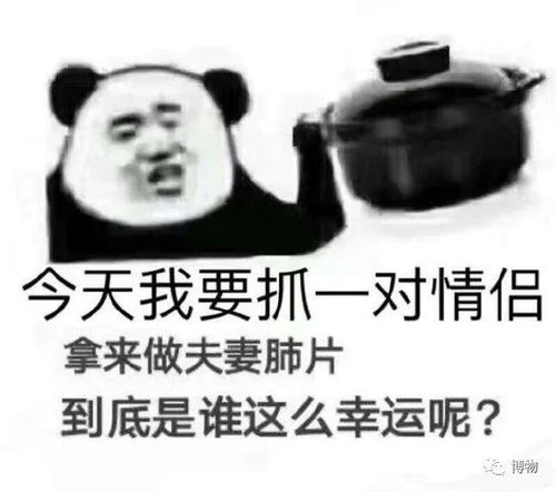 老婆饼里没老婆,但龟苓膏里真有乌龟