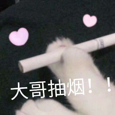 我为什么那么可爱天生的sadfrog伤心蛙自问自答系列sadfrog伤心蛙看书天生的装逼表情
