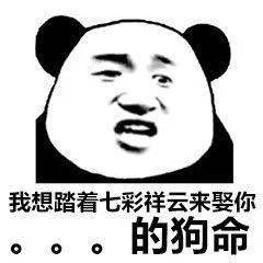 别再追我了表情包demo