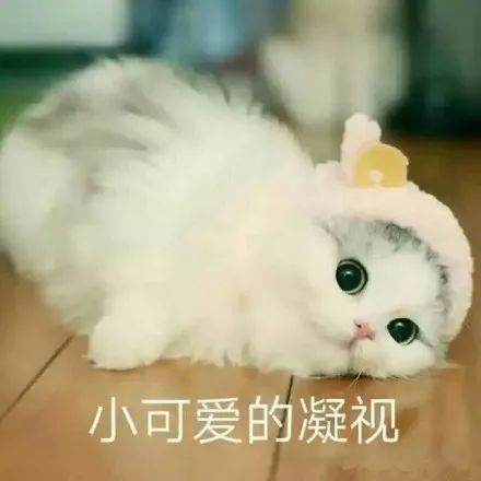 马丽比老公大11岁,怎么圈内女星都爱小鲜肉....