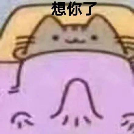 表情包你是我心电图上最高的一座山