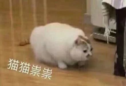 我回来了表情包王者荣耀