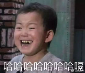 发个表情包被骂做个红烧鱼也被骂欢迎来到没有杠精的世界