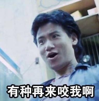 蚊子为啥独宠我表情包大全