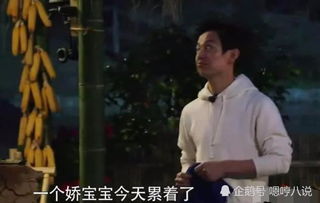 向往的生活花絮中何炅忍不住吐槽李诞两次,最后一次表情亮了