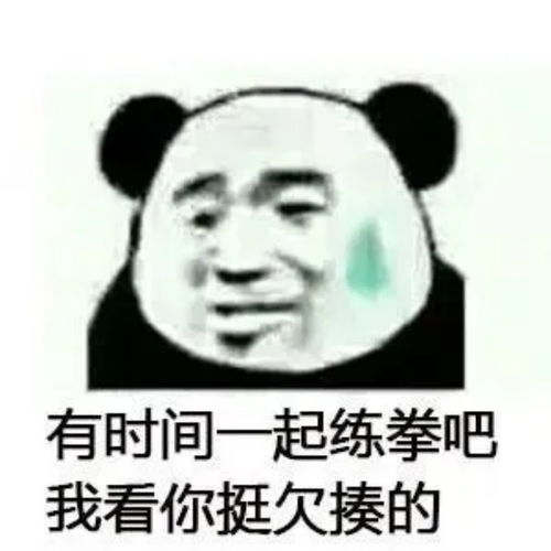 熊猫表情包有时间一起练拳吧