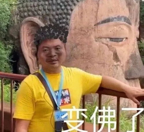 表情包杂七杂八斗图精选系列含动图20210904