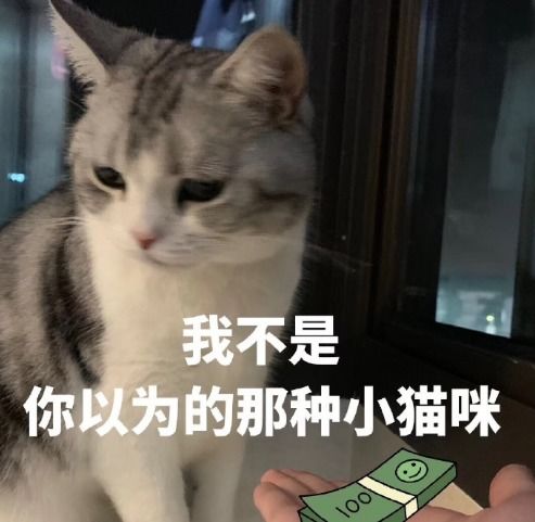 幽默笑话朋友结婚,婚礼上司仪问新郎