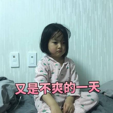 日常斗图31不要跟我硬碰硬,我受的是伤,你丢的是命