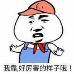 舒舒服服表情包读书