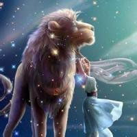 微信头像星空狮子座微信头像图片大全