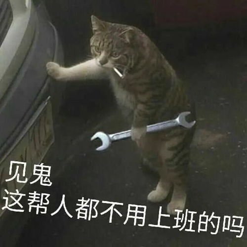 淄博烧烤去年只是热身,今年才是开始