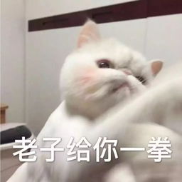 3岁以前没做到这些,以后你说什么娃都听不进了