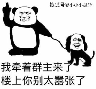 爆笑故事两头猪崽子比试功夫,一头猪叫爸爸,另一头猪叫爷爷