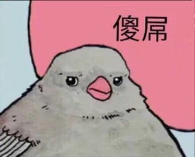 这个表情包如何回