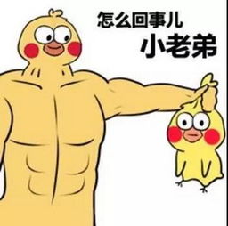 表情包,抖音七彩小黄鸭全套表情包哪里有