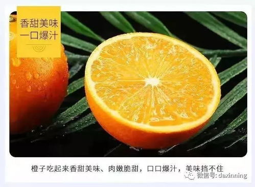 买天天上央视的崀山脐橙,送99元惠民卡一张啦数量有限,先到先得