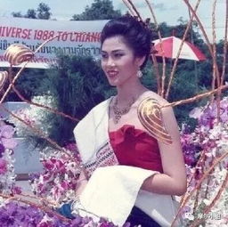 泰国的肯尼迪家族风云录丨首富总理和最美总理流亡在外,家族如何复盘