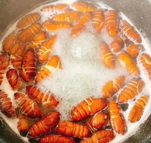 最适合男人吃的食物排行榜,韭菜倒数第1,蚕蛹第2,建议了解