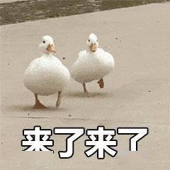 宜宾气温满减模式已开启