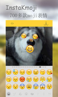 instakmojiinstakmojiappv1.0.8安卓版起点软件园