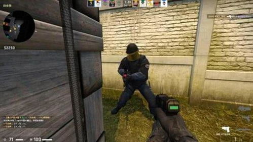 csgo为啥茄子冬瓜都在喷老六自由人和老六是两个概念