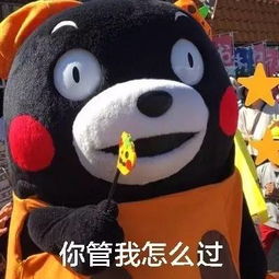 当别人问你七夕怎么过时