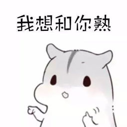 小仓鼠性格解说表情包下载小仓鼠性格解说表情包高清无水印极光下载站