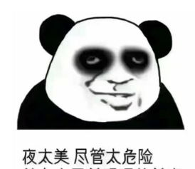 超可爱的表情包,00后的最爱,95后表示也喜欢