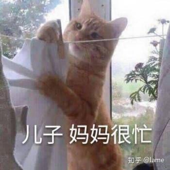如果自己喜欢的明星,被人黑,很难受,该怎么做