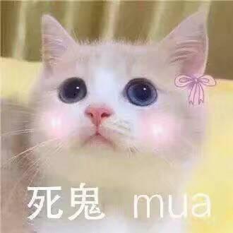 我的收藏夹