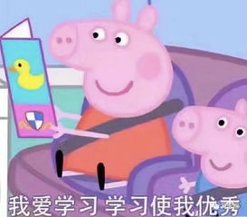 乔布斯不走心的简历,竟然卖了5万美元