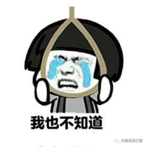 横沥一女子酒驾遇查玩移形换位被记12分并罚款