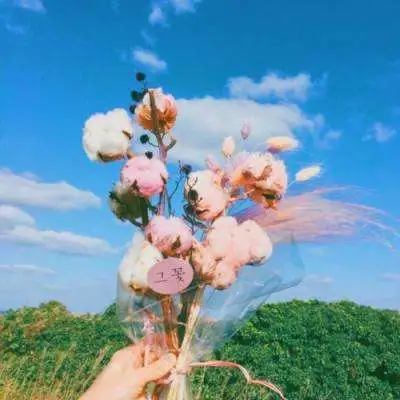 醉月娱乐