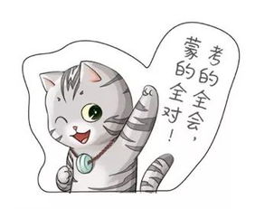你有一个来自3019年的快递,请注意查收