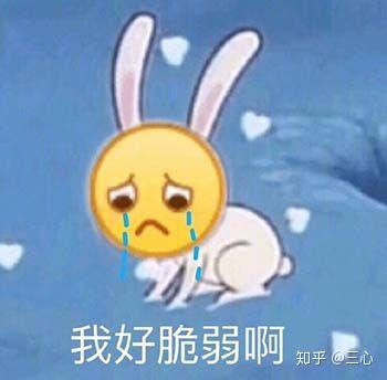 有哪些你一直使用的表情包
