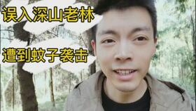 周淑怡,树奈奈,610经典表情包