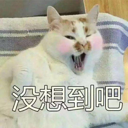 再见了这可能是你最后一次看到标题党了