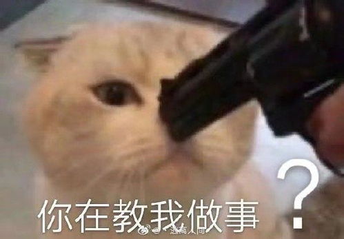 群聊表情包姜云升