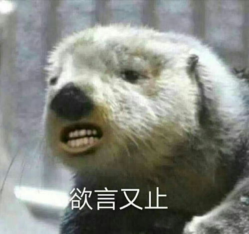 求陈芊芊第11集37分韩少君骑马那段bgm太好听了